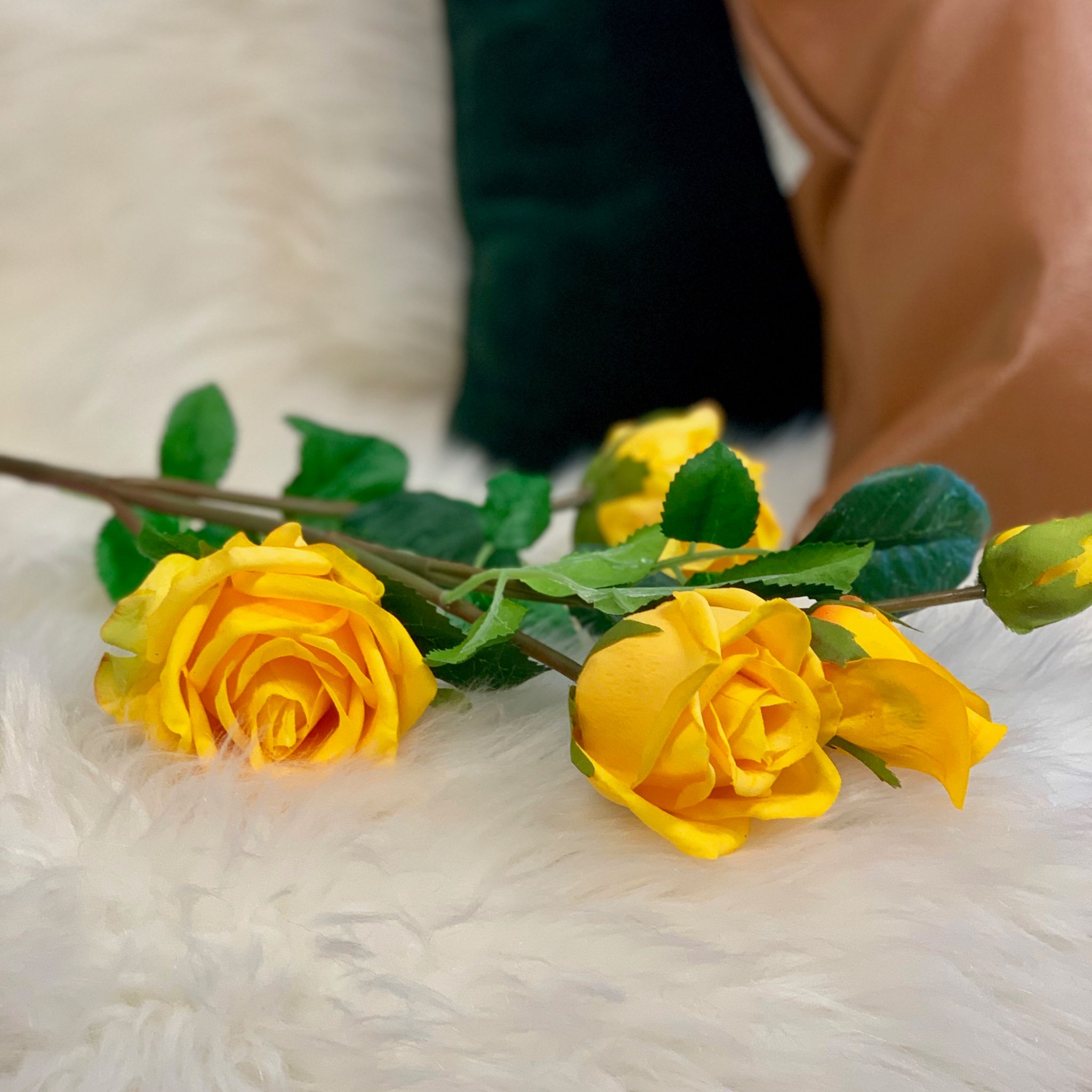 single yellow roses